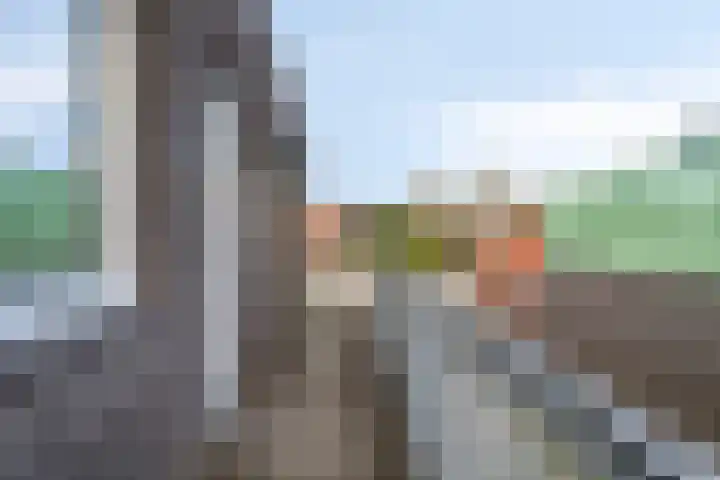Schootsestraat 73 21 Eindhoven thumbnail 9