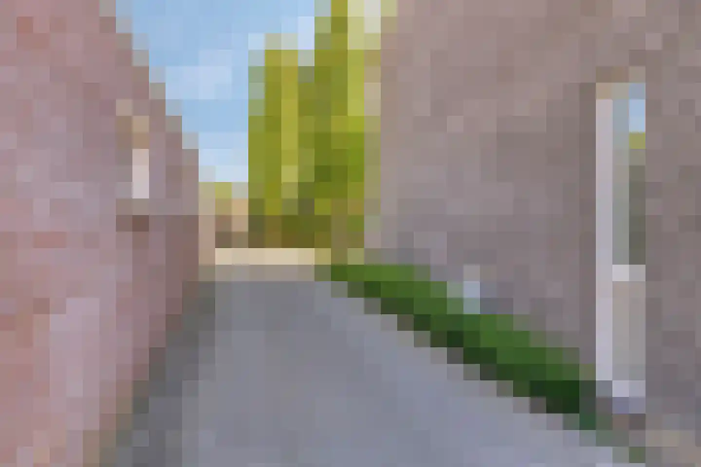 Schootsestraat 75 29 Eindhoven thumbnail 20