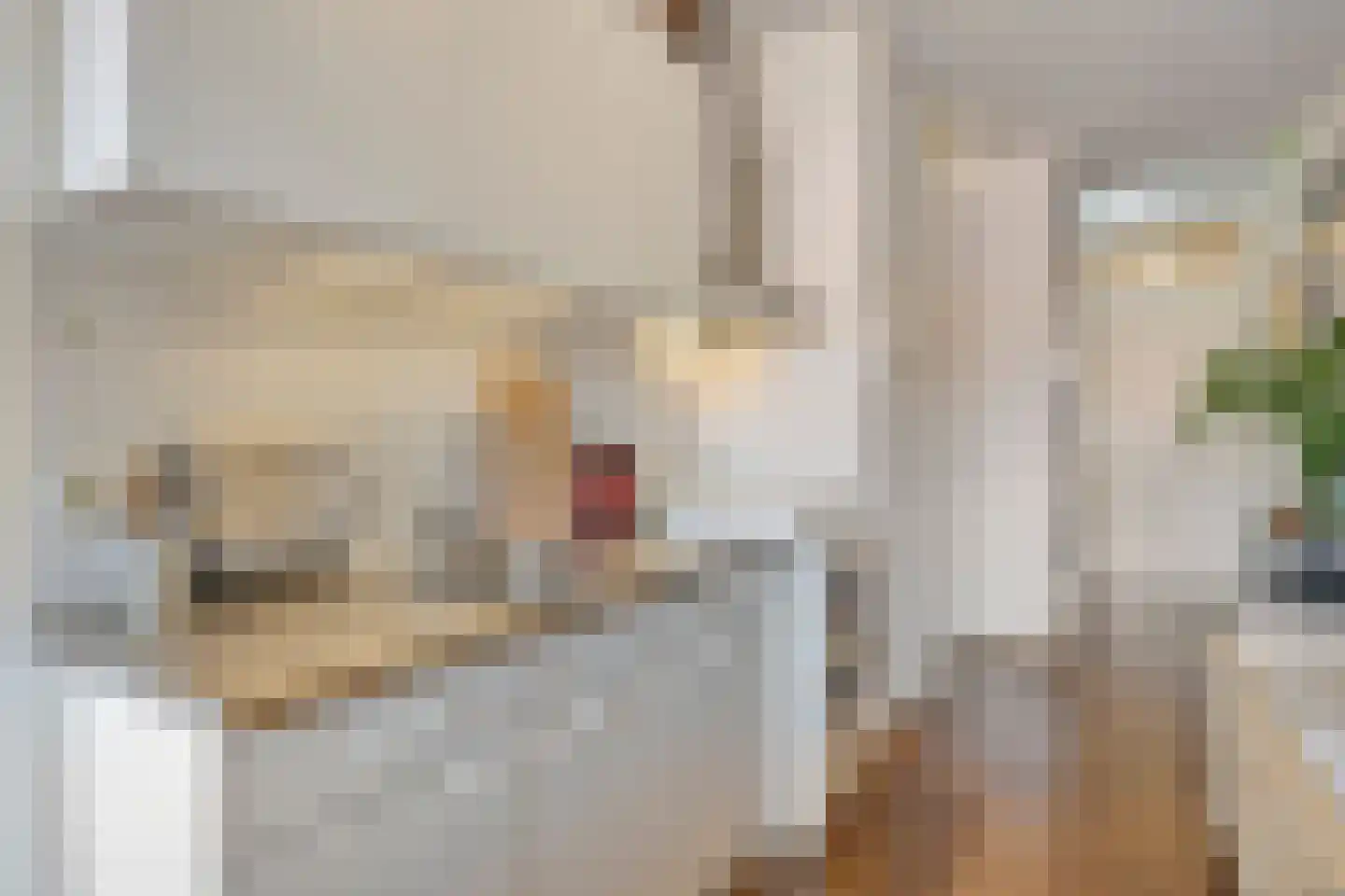 Schootsestraat 75 29 Eindhoven thumbnail 8