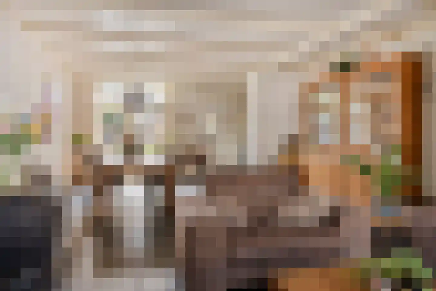 Schootsestraat 92 Eindhoven thumbnail 12