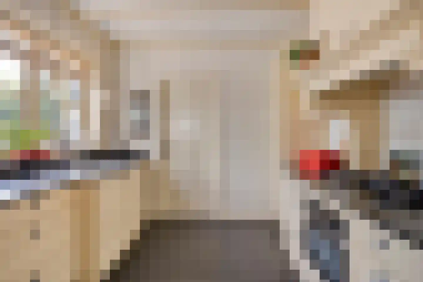 Schootsestraat 92 Eindhoven thumbnail 18