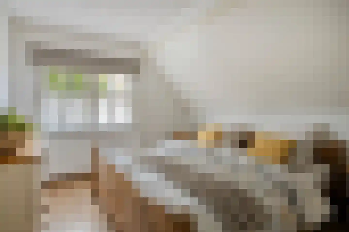 Schootsestraat 92 Eindhoven thumbnail 26