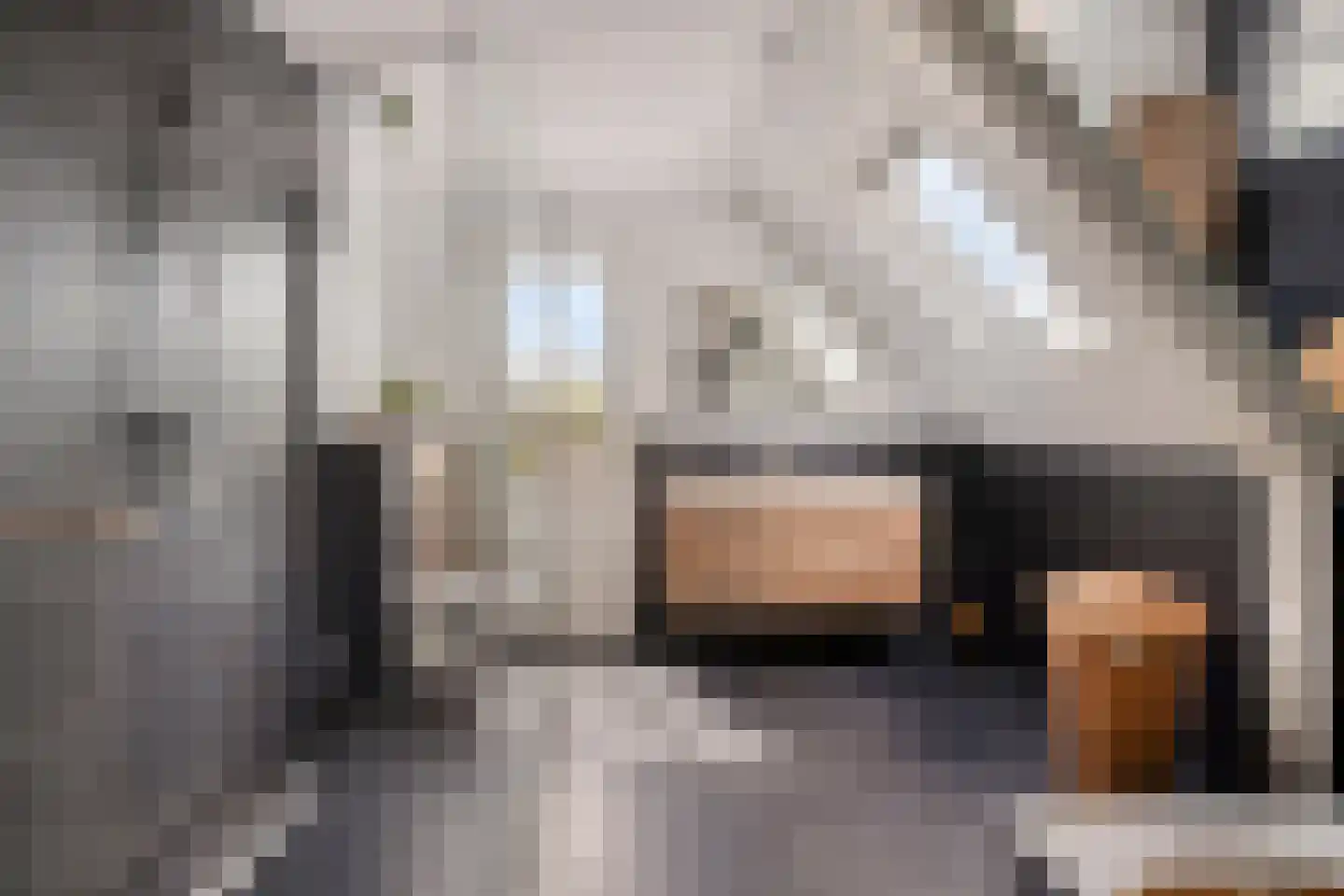 Schootsestraat 92 Eindhoven thumbnail 28