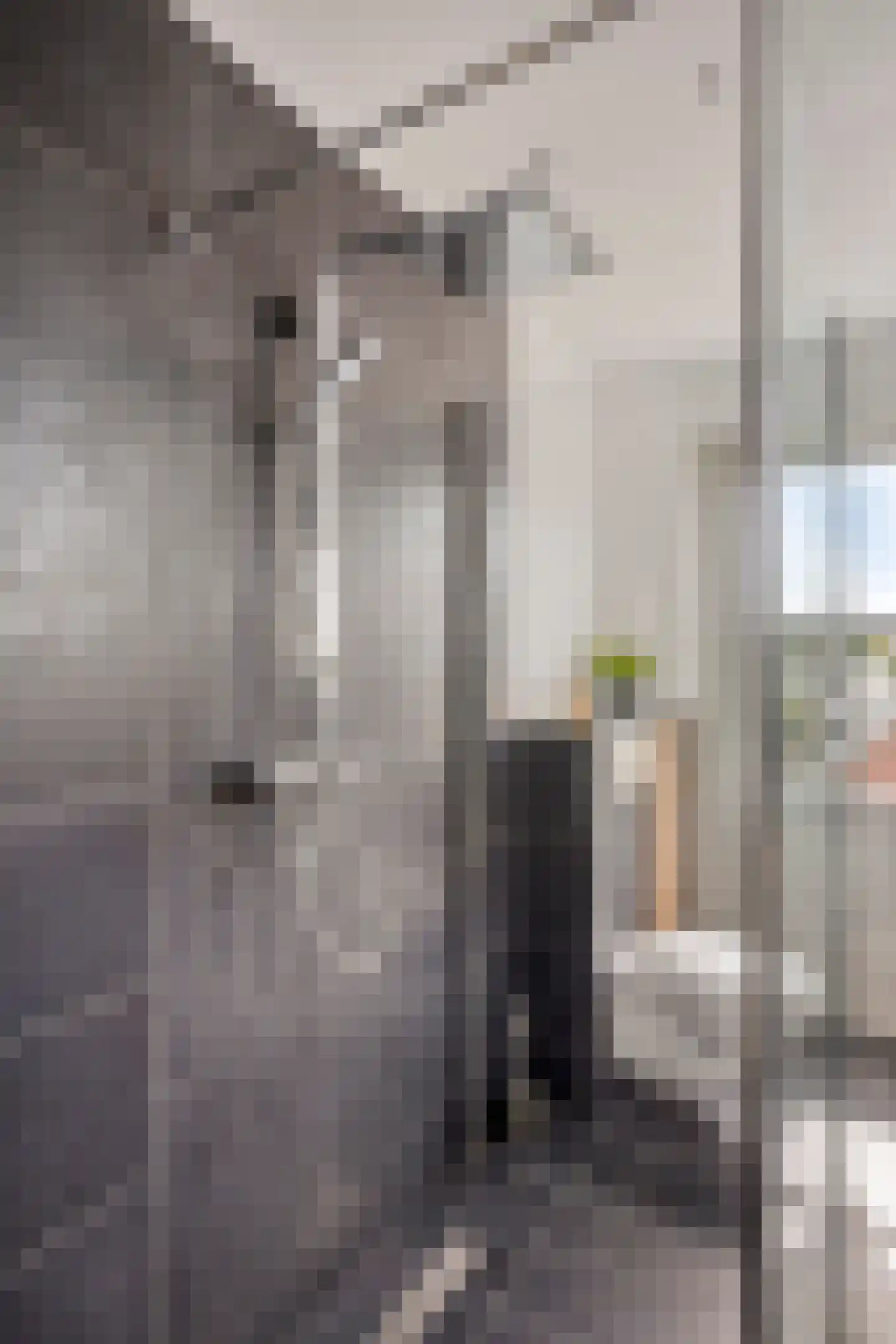 Schootsestraat 92 Eindhoven thumbnail 30