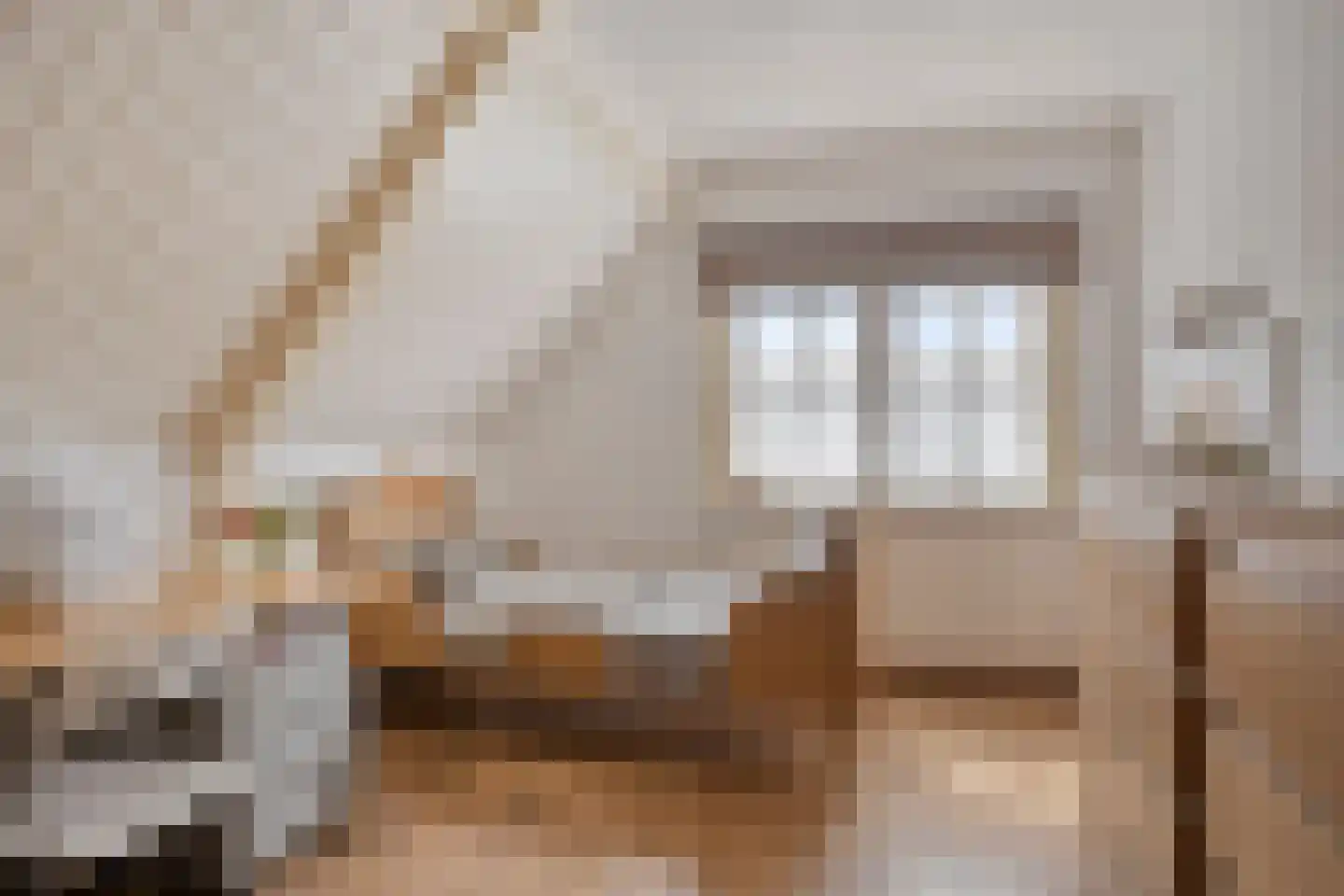 Schootsestraat 92 Eindhoven thumbnail 32
