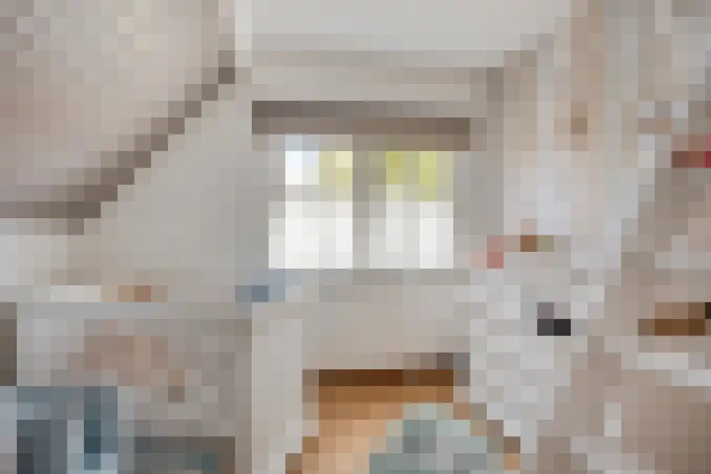 Schootsestraat 92 Eindhoven thumbnail 34