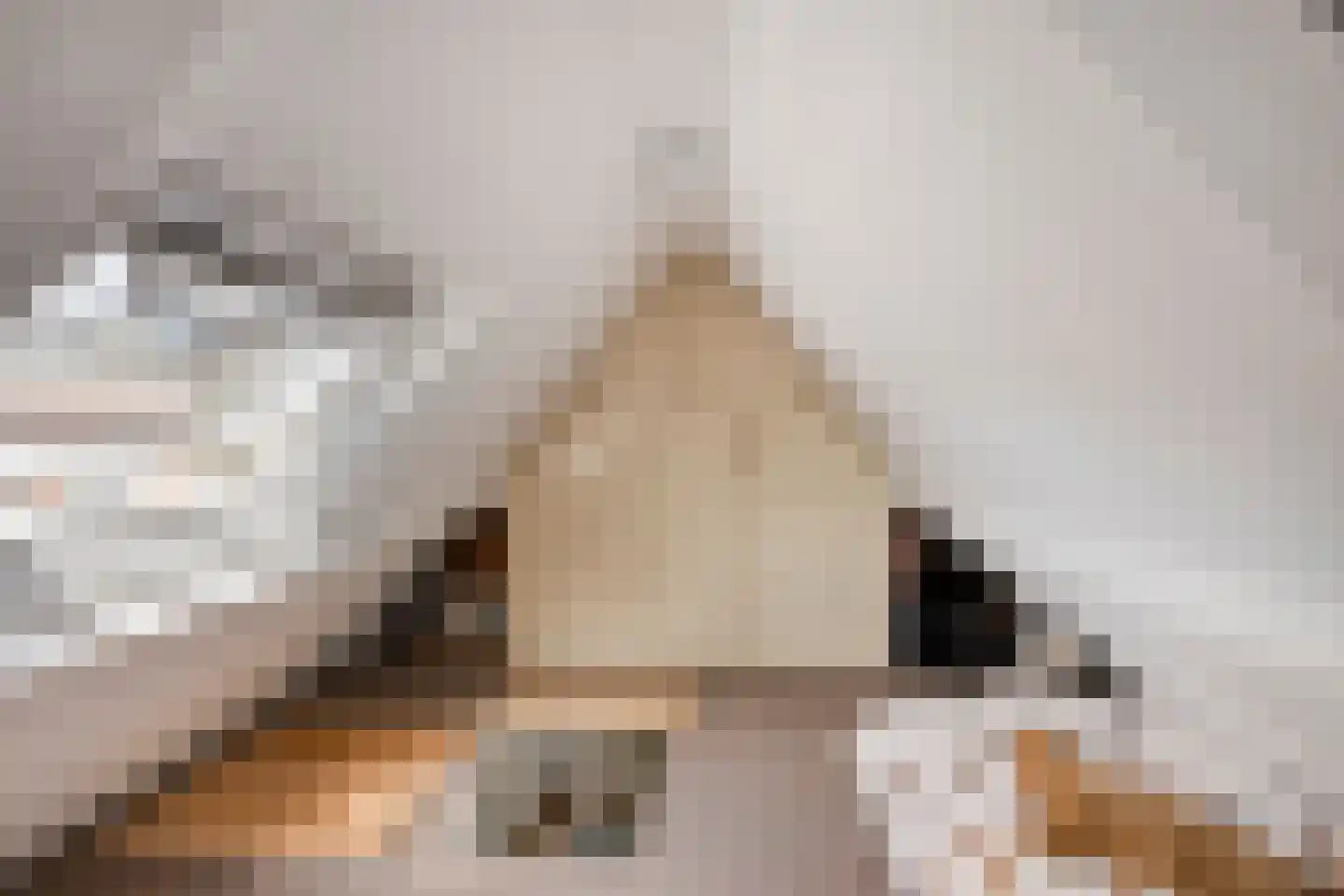 Schootsestraat 92 Eindhoven thumbnail 39