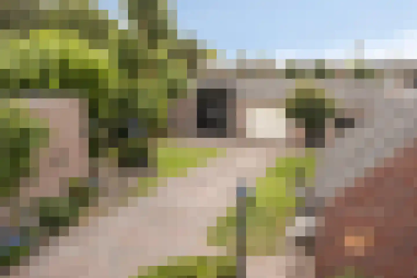 Schootsestraat 92 Eindhoven thumbnail 42