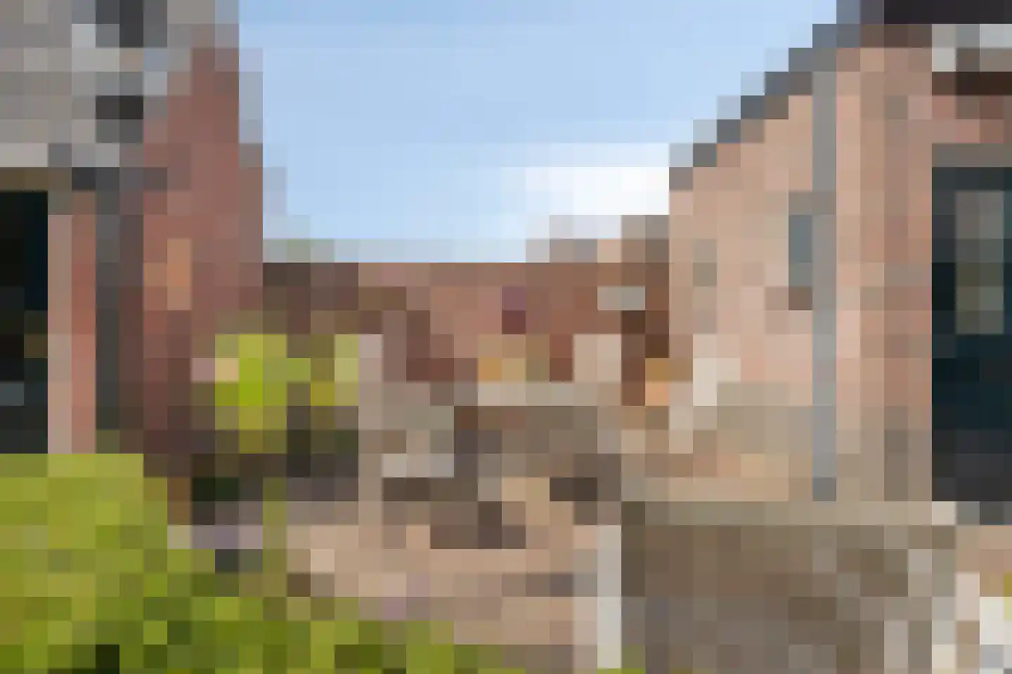 Schootsestraat 92 Eindhoven thumbnail 44