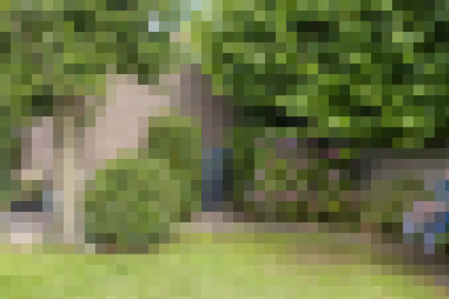 Schootsestraat 92 Eindhoven thumbnail 47