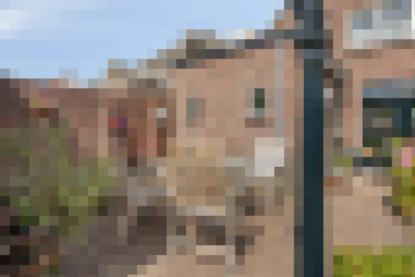Schootsestraat 92 Eindhoven thumbnail 49