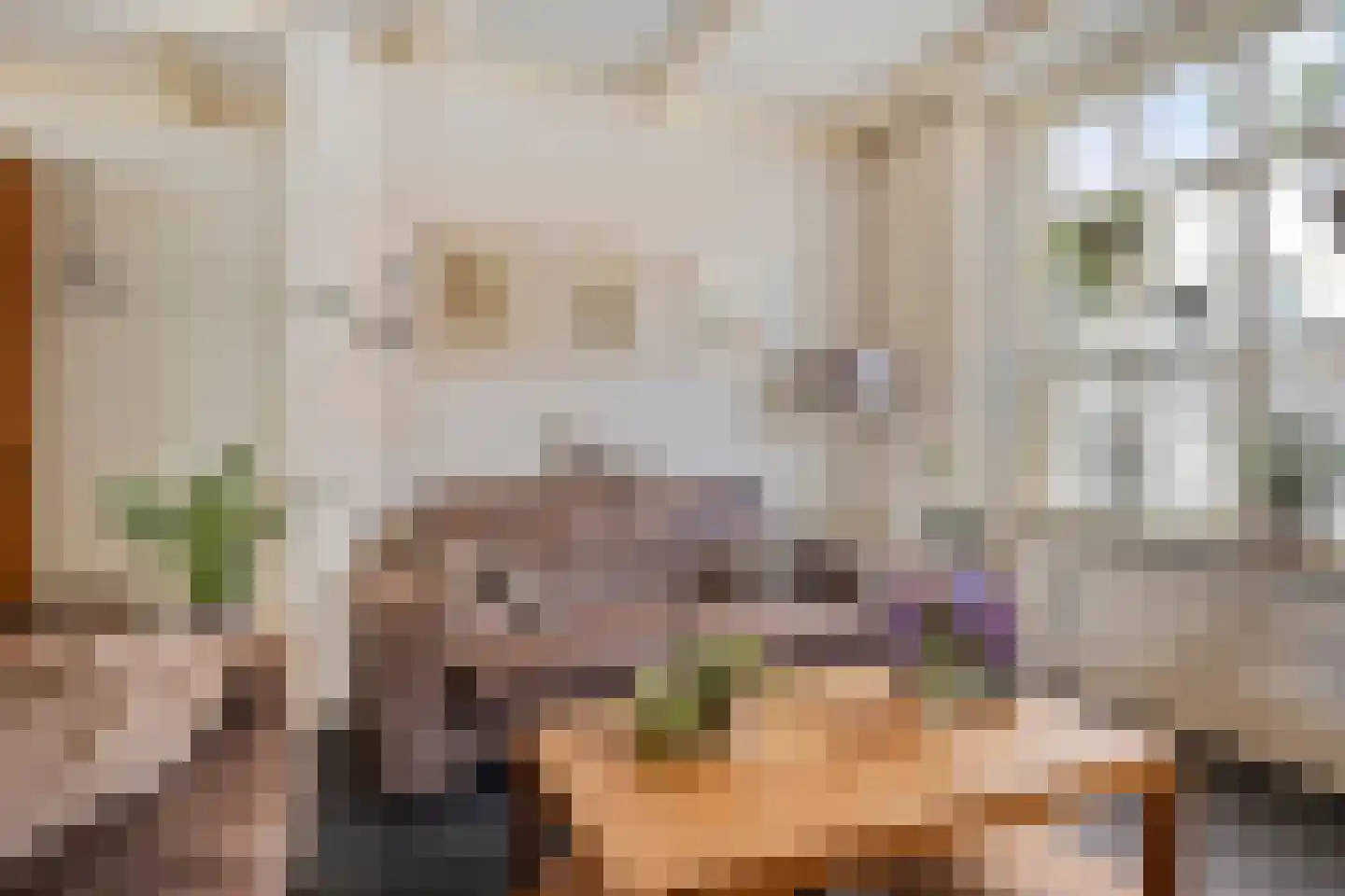 Schootsestraat 92 Eindhoven thumbnail 8