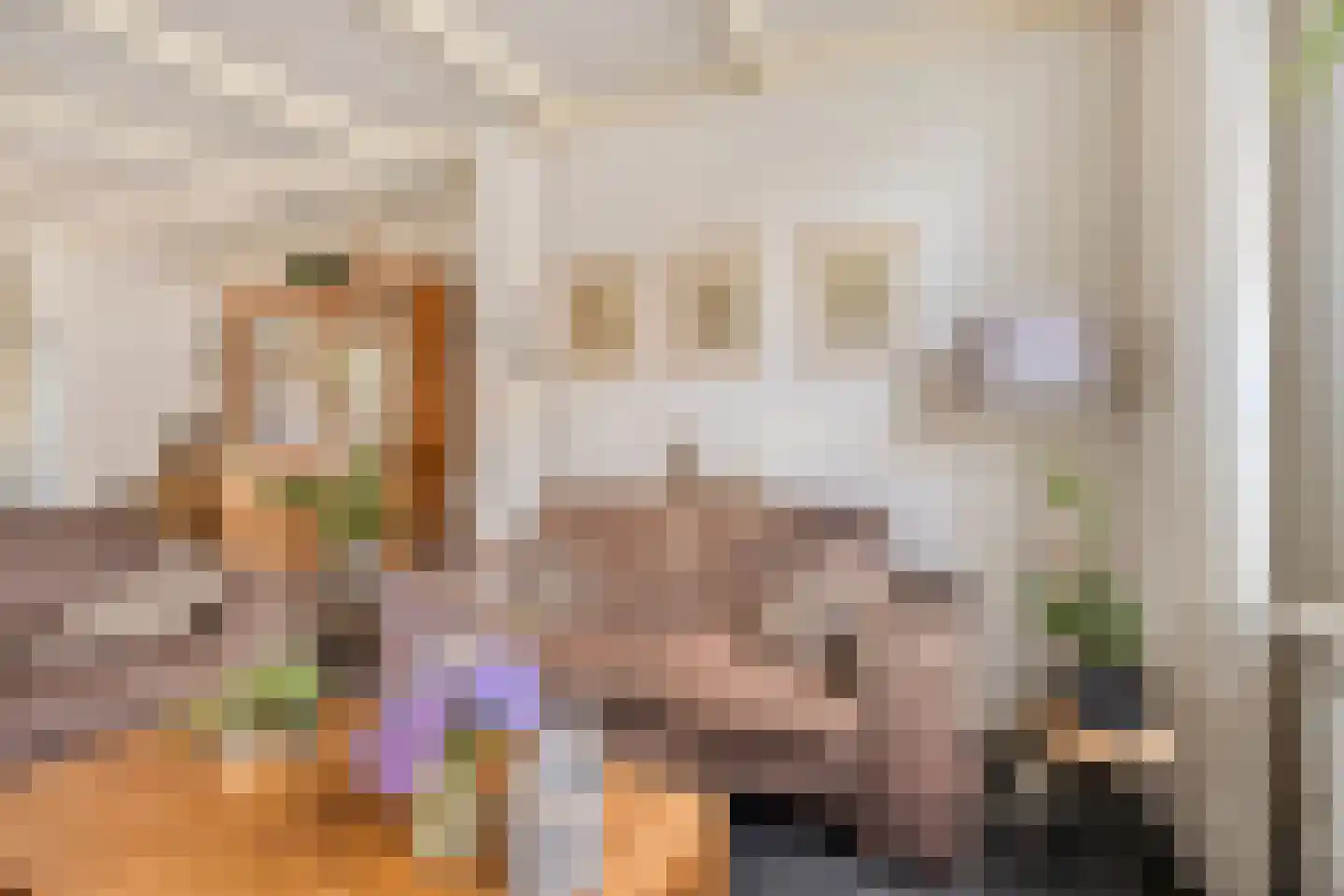 Schootsestraat 92 Eindhoven thumbnail 9
