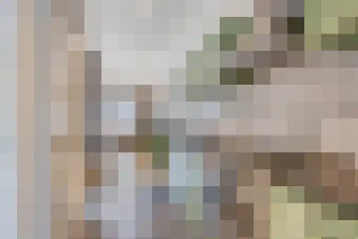 Schootsestraat 93 B Eindhoven thumbnail 24