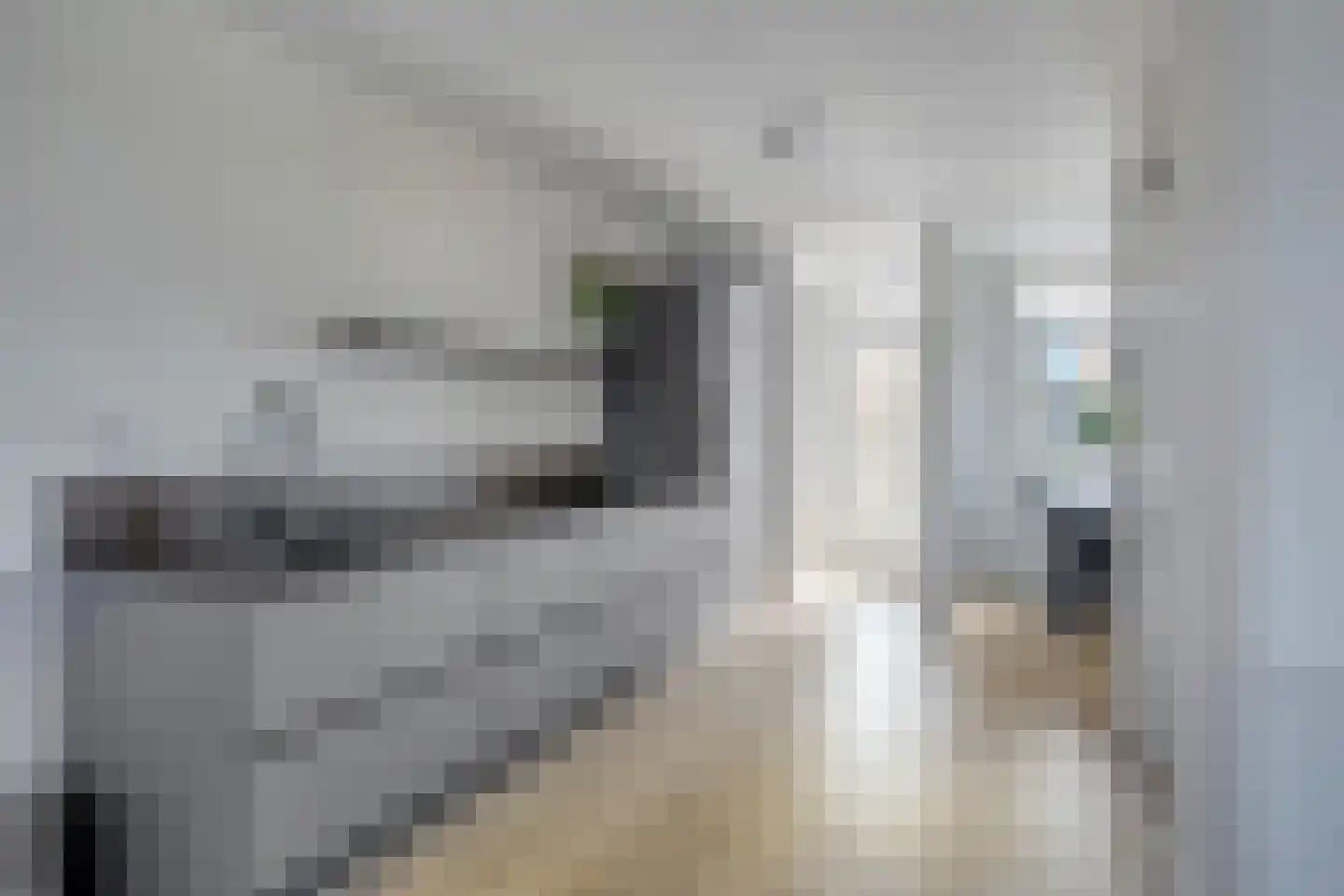 Schootsestraat 93 H Eindhoven thumbnail 11