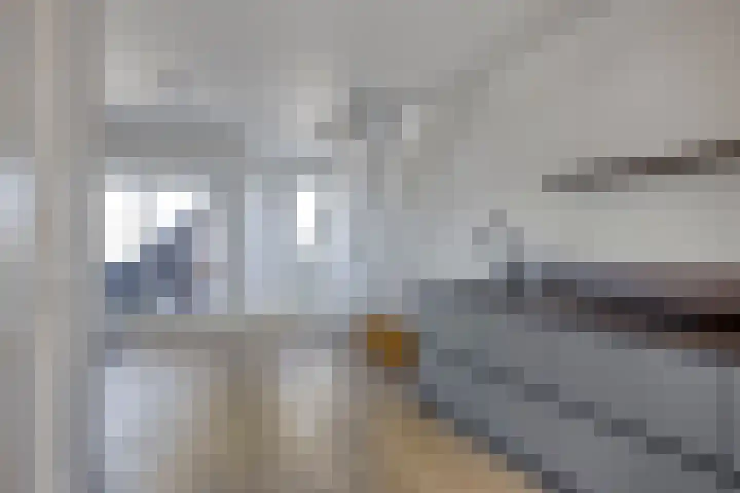 Schootsestraat 93 H Eindhoven thumbnail 12