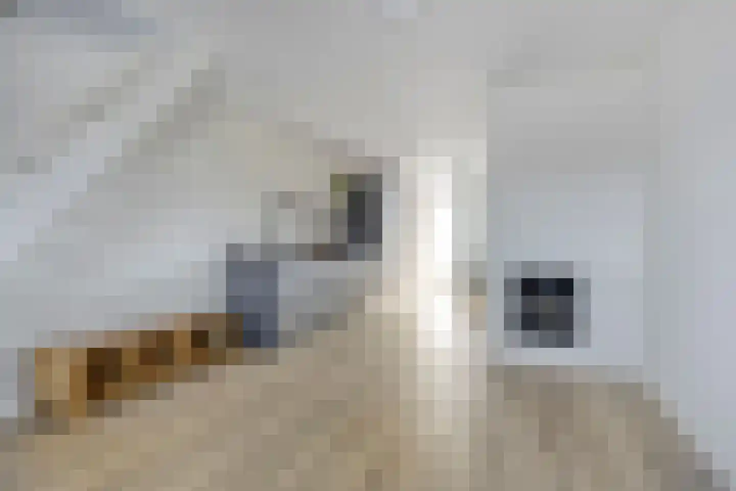 Schootsestraat 93 H Eindhoven thumbnail 7