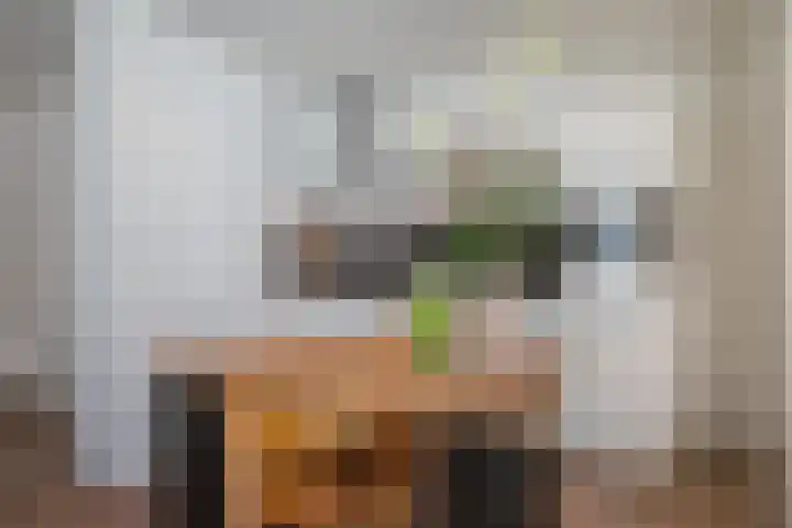 Schootsestraat 99 C Eindhoven thumbnail 10