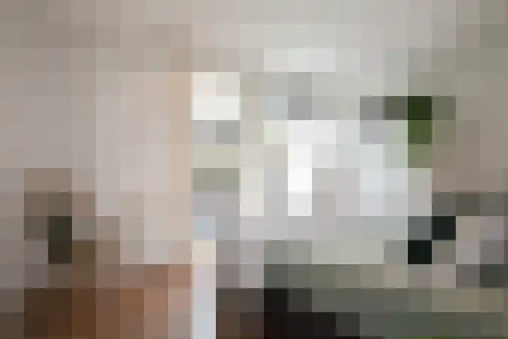 Schootsestraat 99 C Eindhoven thumbnail 16