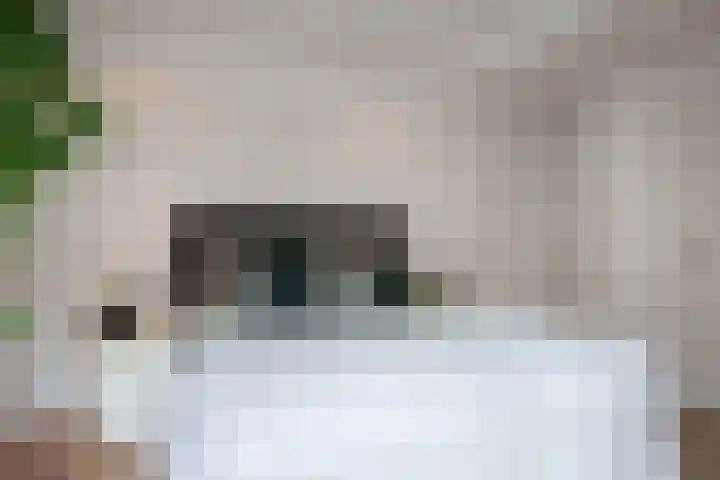 Schootsestraat 99 C Eindhoven thumbnail 18
