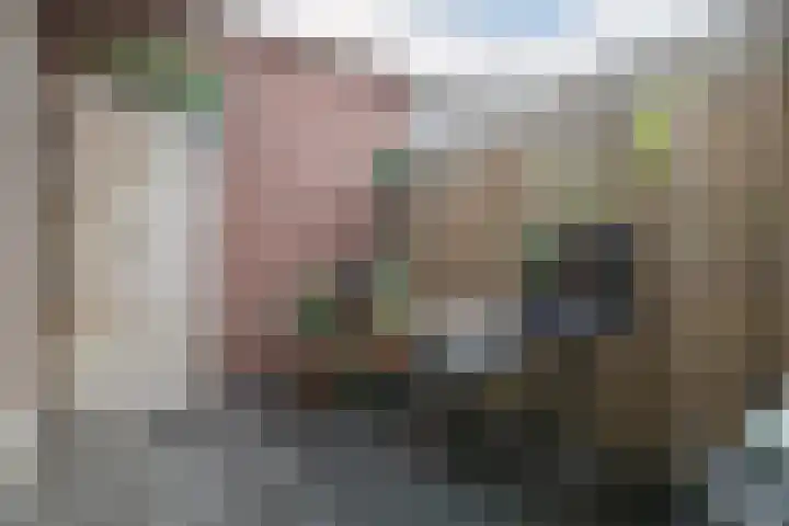 Schootsestraat 99 C Eindhoven thumbnail 20