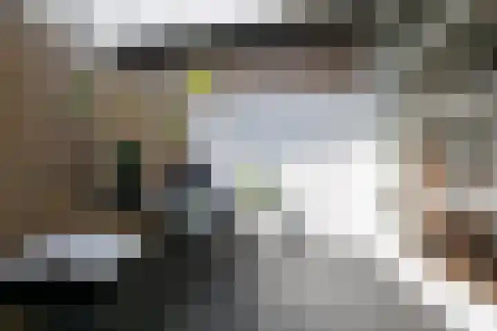 Schootsestraat 99 C Eindhoven thumbnail 21