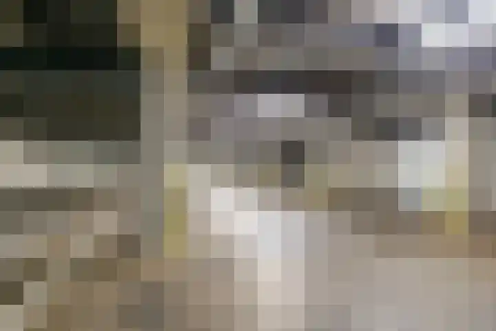 Schootsestraat 99 C Eindhoven thumbnail 22