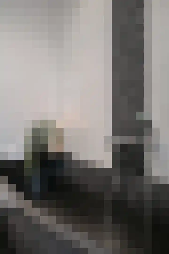 Schootsestraat 99 C Eindhoven thumbnail 34