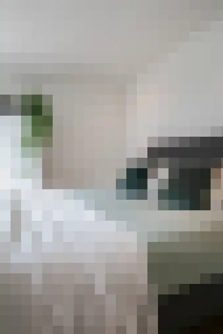 Schootsestraat 99 C Eindhoven thumbnail 37