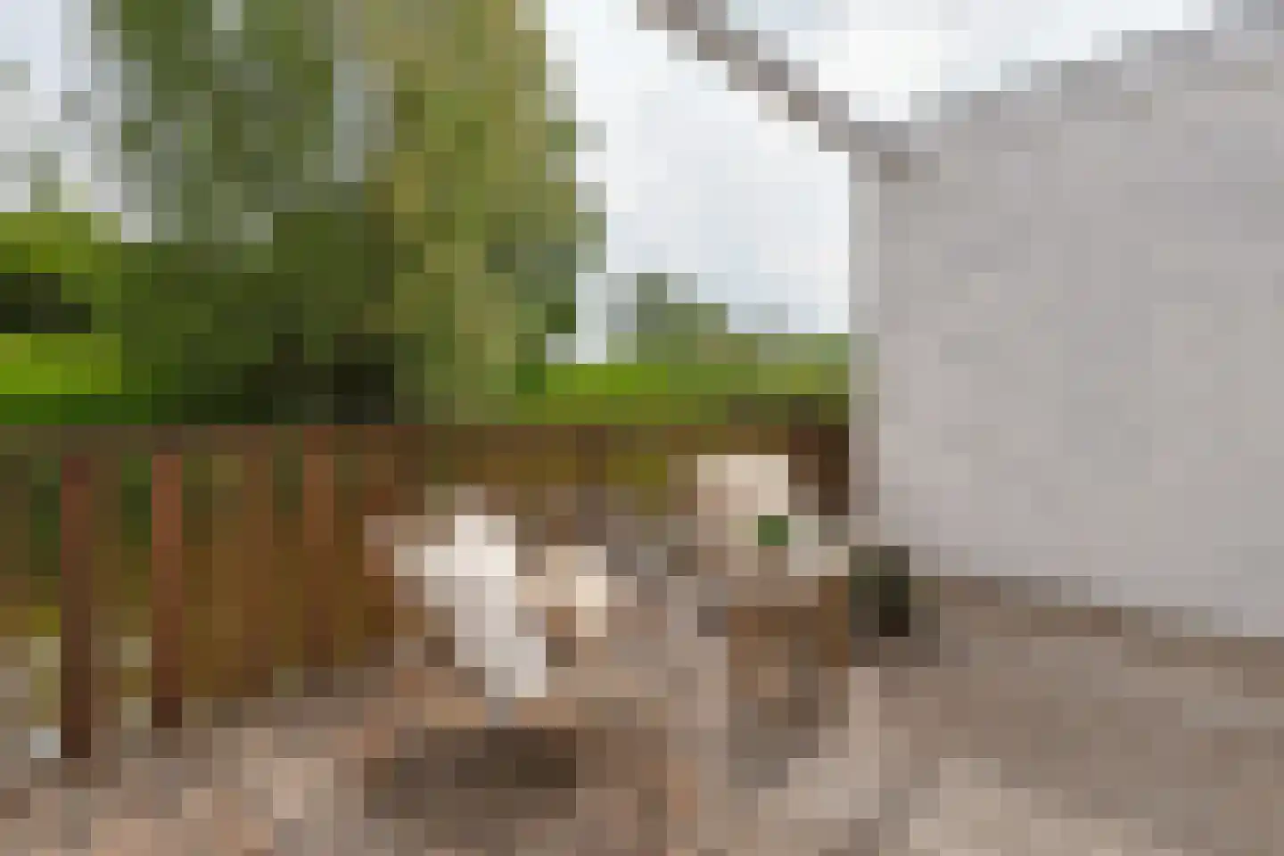 Schootsveld 13 Uithoorn thumbnail 24