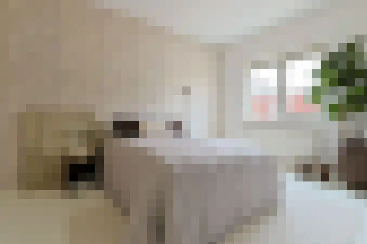 Schootsveld 13 Uithoorn thumbnail 26