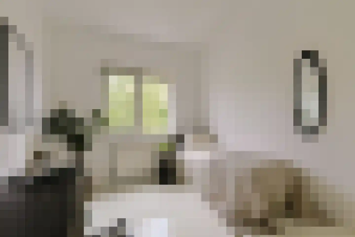 Schootsveld 13 Uithoorn thumbnail 30