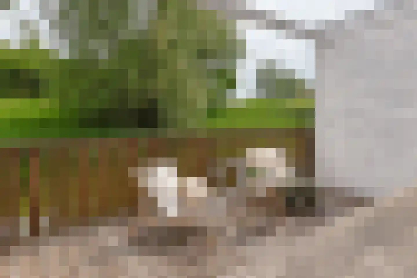 Schootsveld 13 Uithoorn thumbnail 4