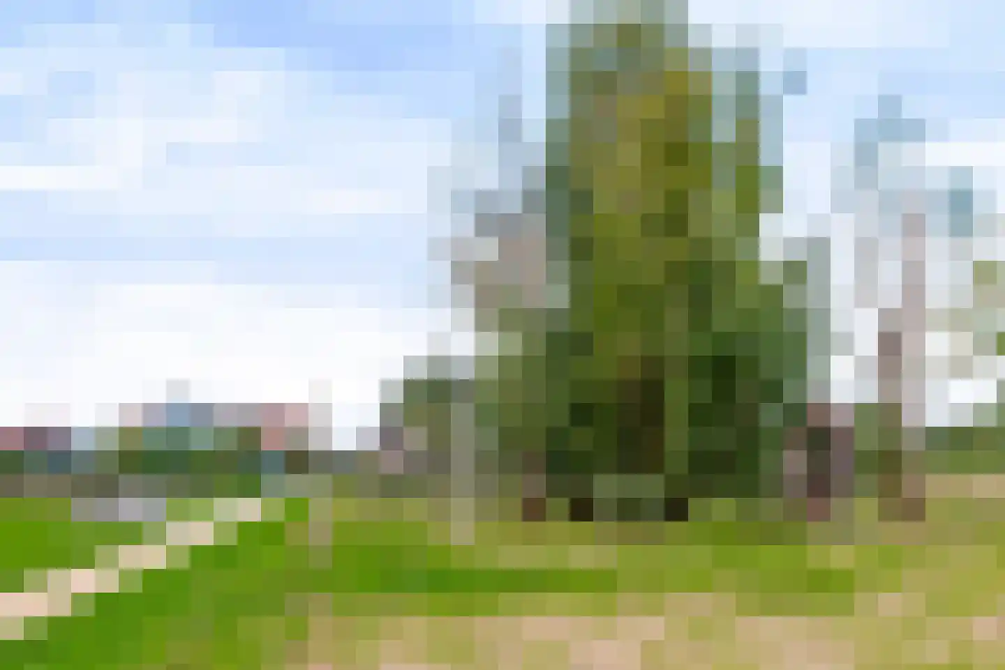 Schootsveldlaan 7 Muiden thumbnail 106