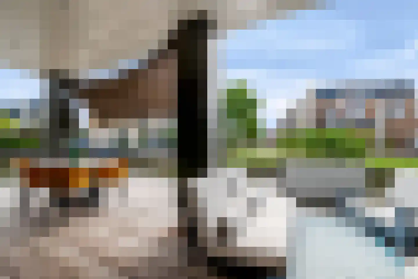 Schootsveldlaan 7 Muiden thumbnail 25