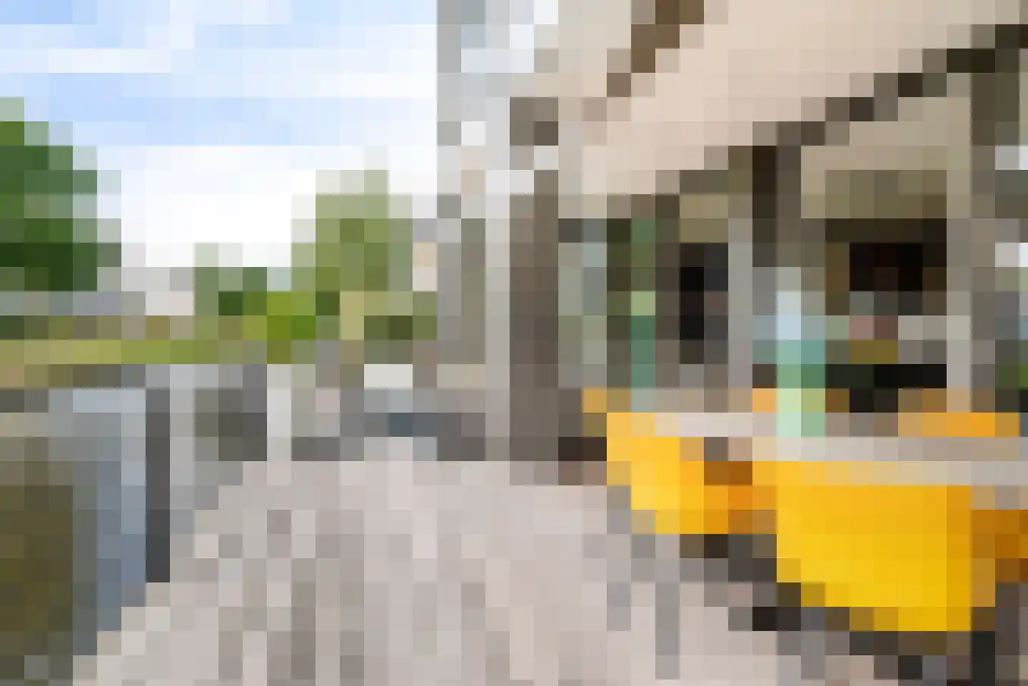 Schootsveldlaan 7 Muiden thumbnail 29