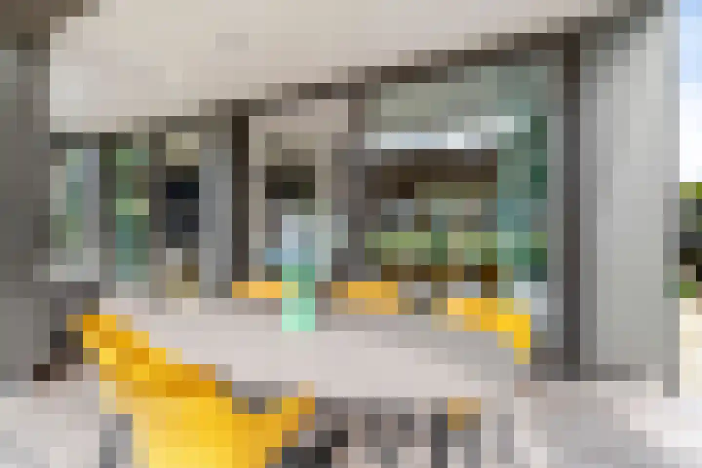 Schootsveldlaan 7 Muiden thumbnail 32