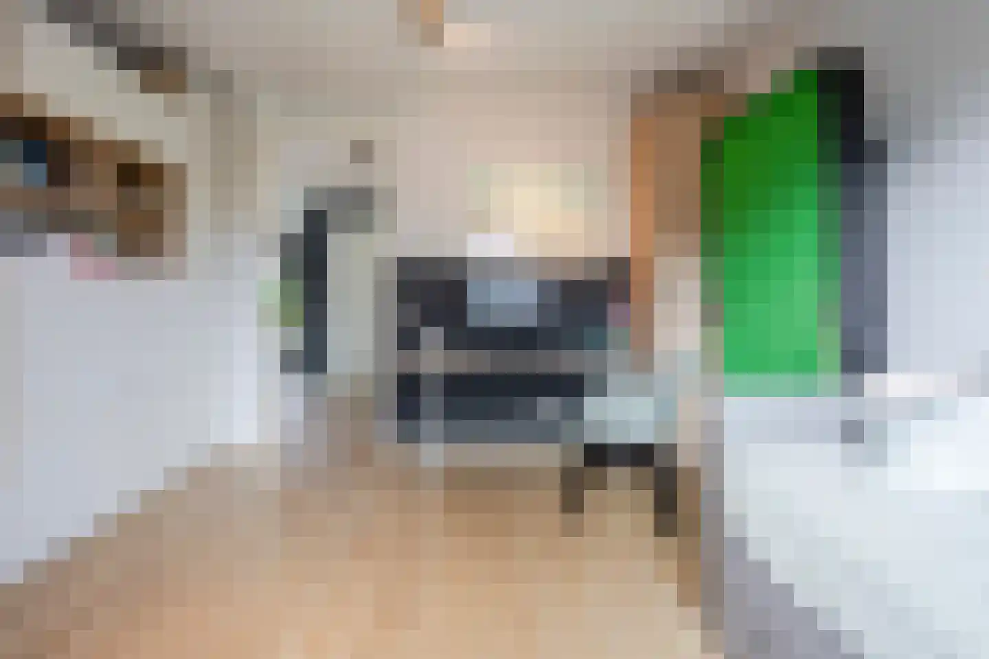 Schootsveldlaan 7 Muiden thumbnail 48