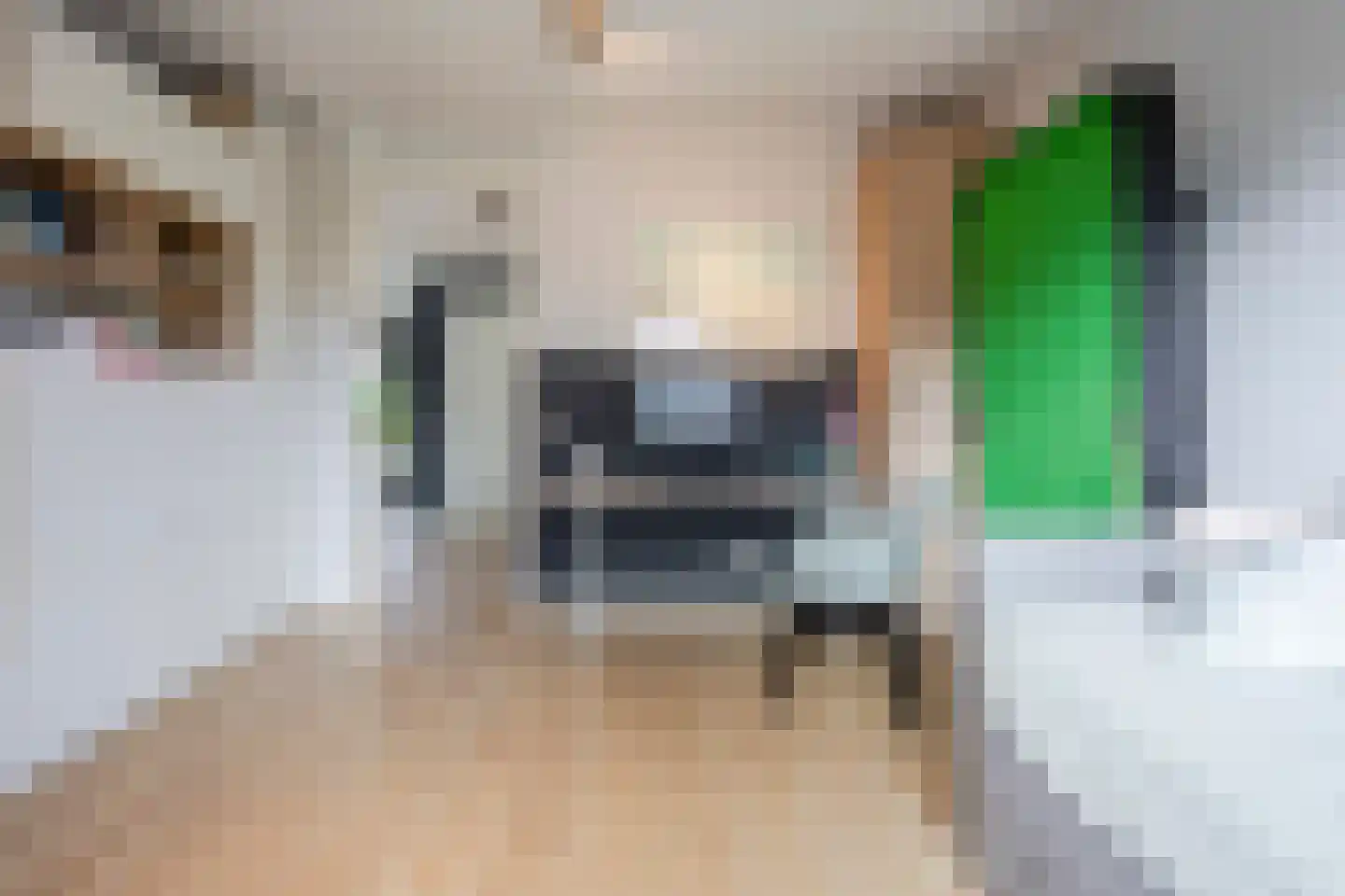 Schootsveldlaan 7 Muiden thumbnail 49