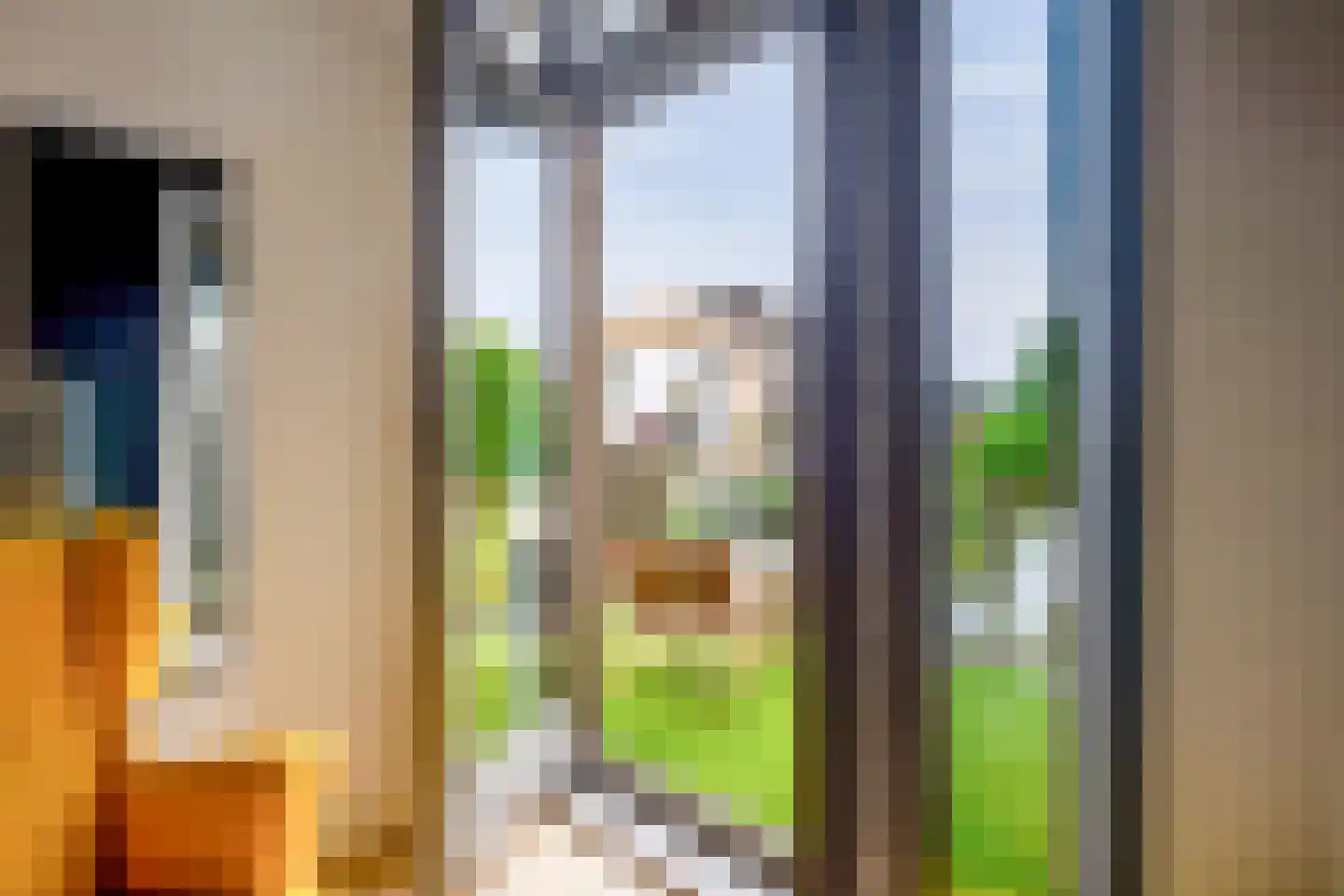 Schootsveldlaan 7 Muiden thumbnail 69