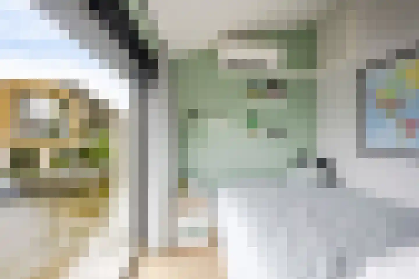 Schootsveldlaan 7 Muiden thumbnail 90