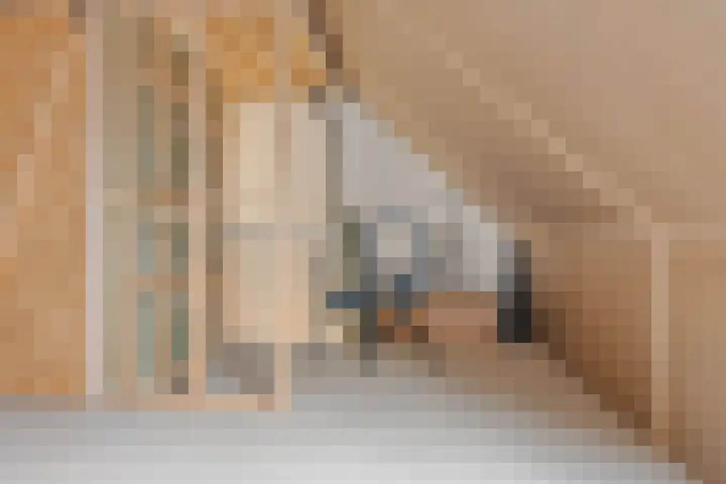Schootsveldstraat 5 Hoef en Haag thumbnail 25