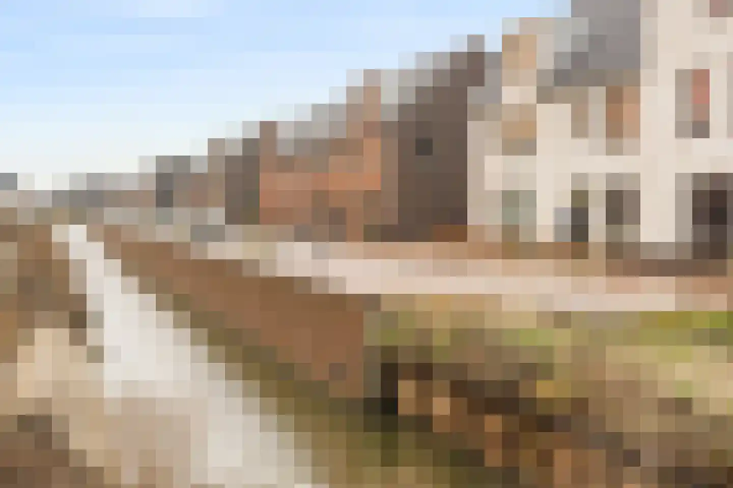 Schootsveldstraat 5 Hoef en Haag thumbnail 36
