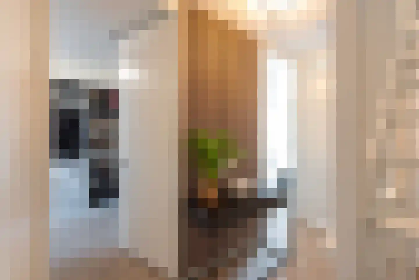 Schootsveldstraat 7 Hoef en Haag thumbnail 23
