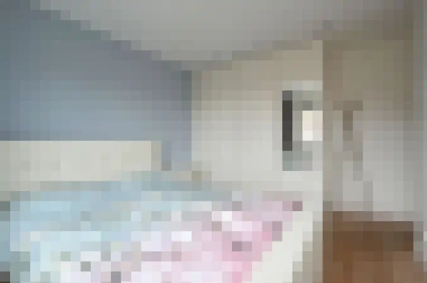 Schootvork 1 Eemnes thumbnail 13