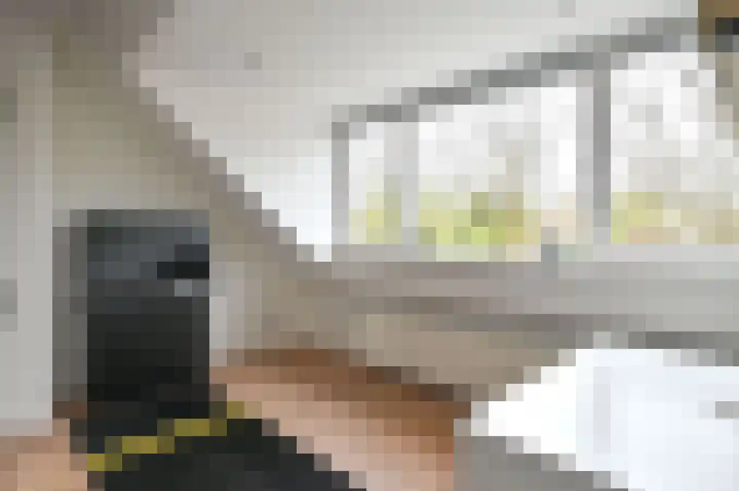 Schootvork 1 Eemnes thumbnail 19