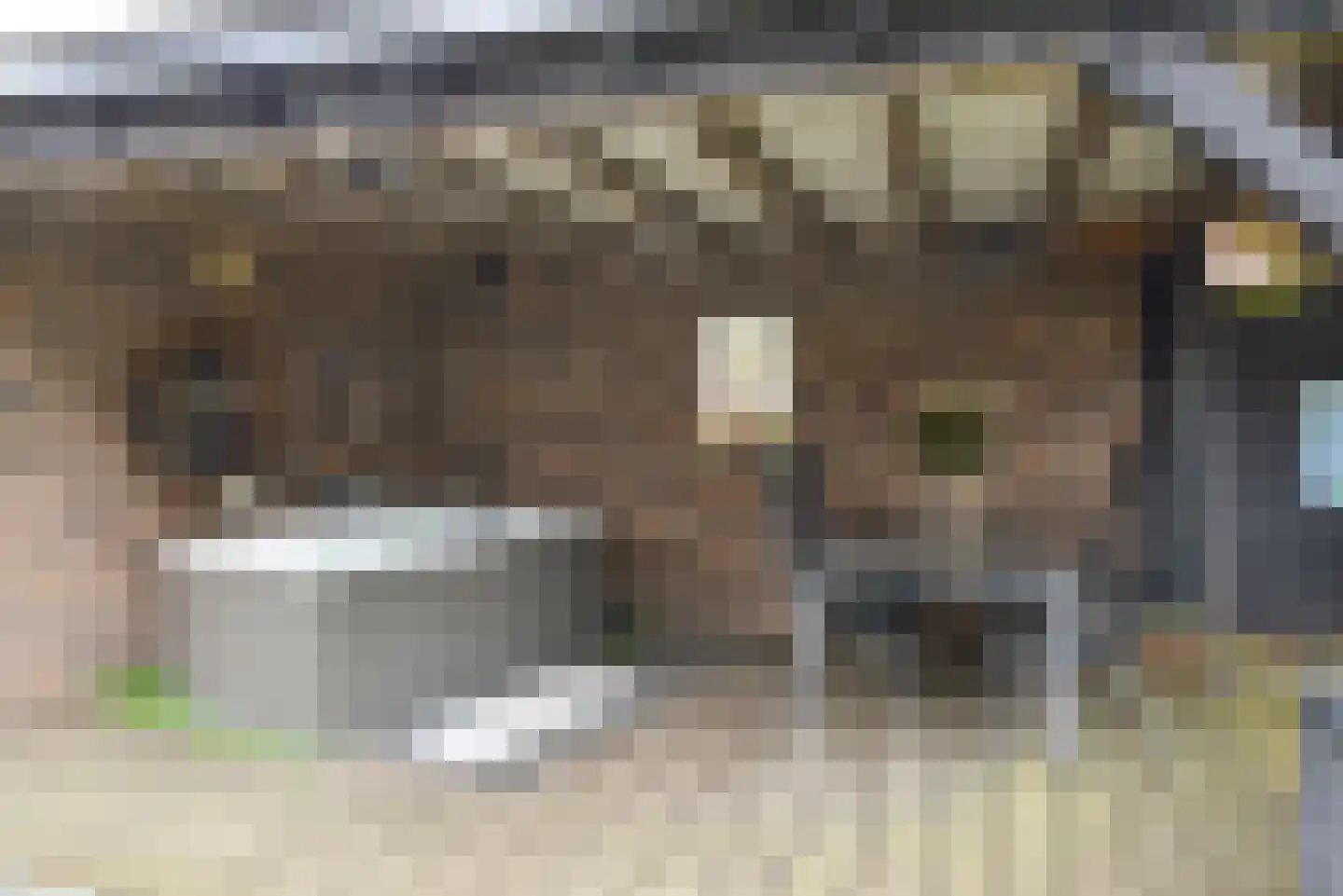 Schootvork 1 Eemnes thumbnail 23