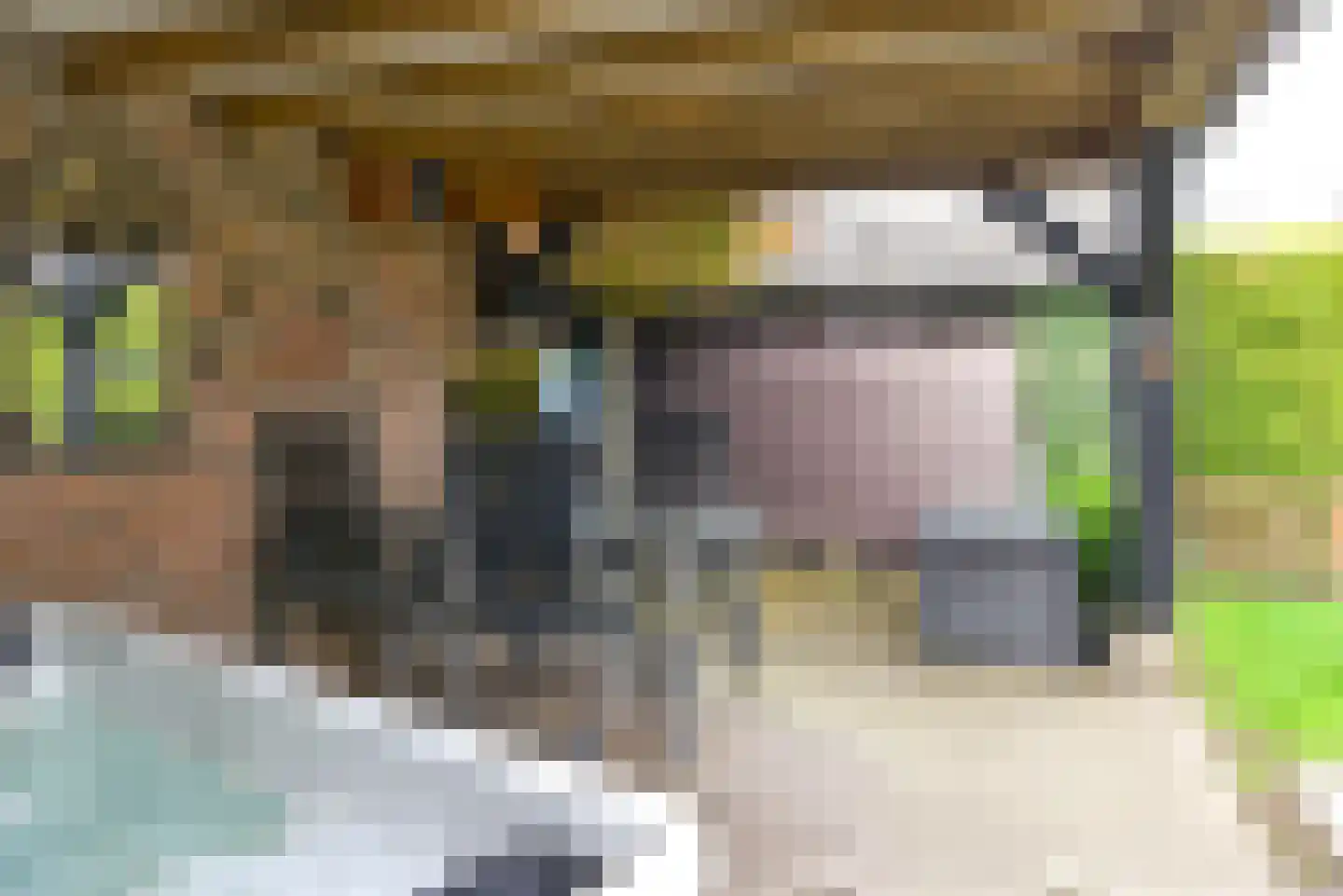 Schootvork 1 Eemnes thumbnail 25