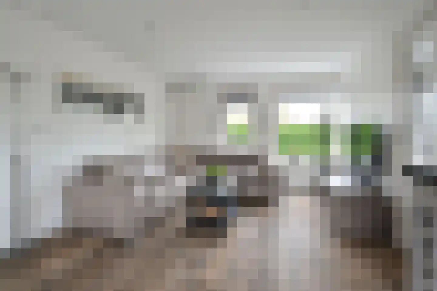 Schootvork 1 Eemnes thumbnail 4