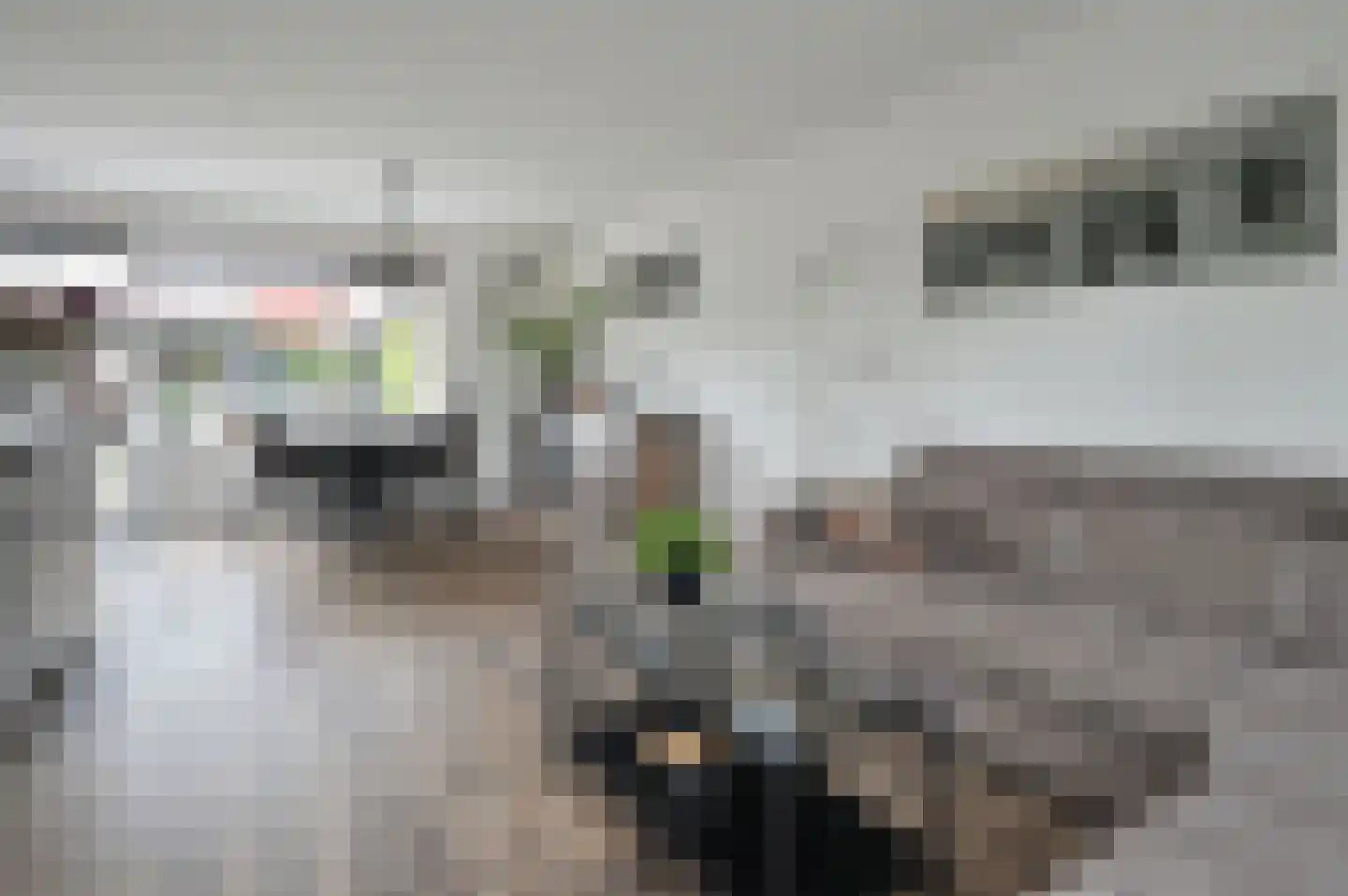 Schootvork 1 Eemnes thumbnail 5